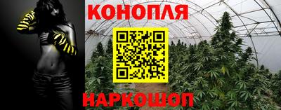 тгк Брянск
