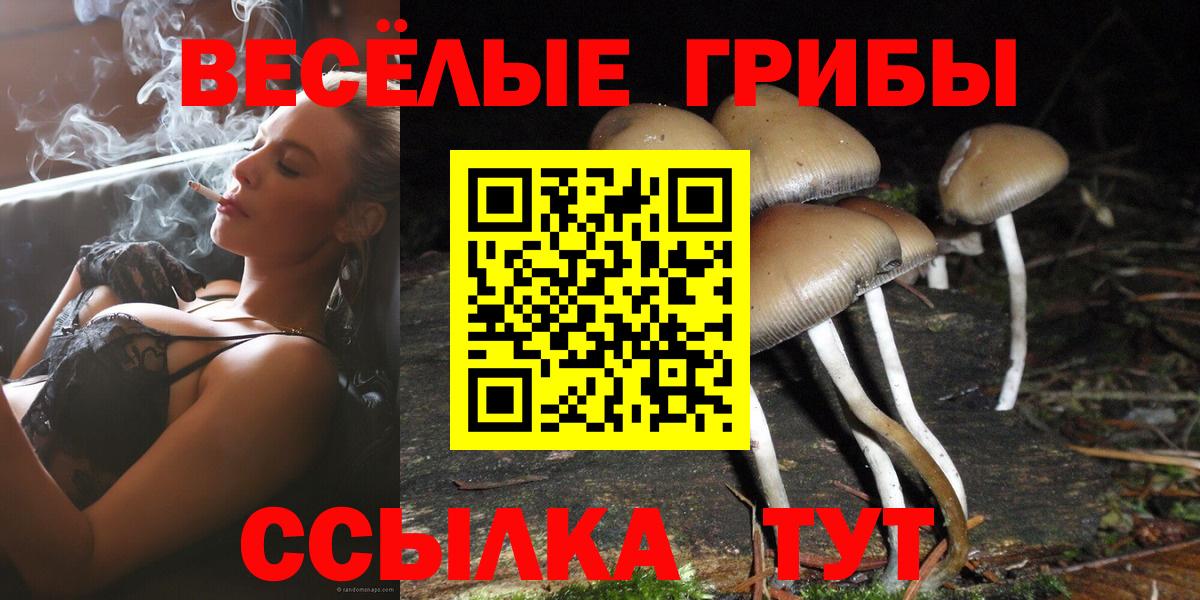 Псилоцибиновые грибы ЛСД Нижний Новгород