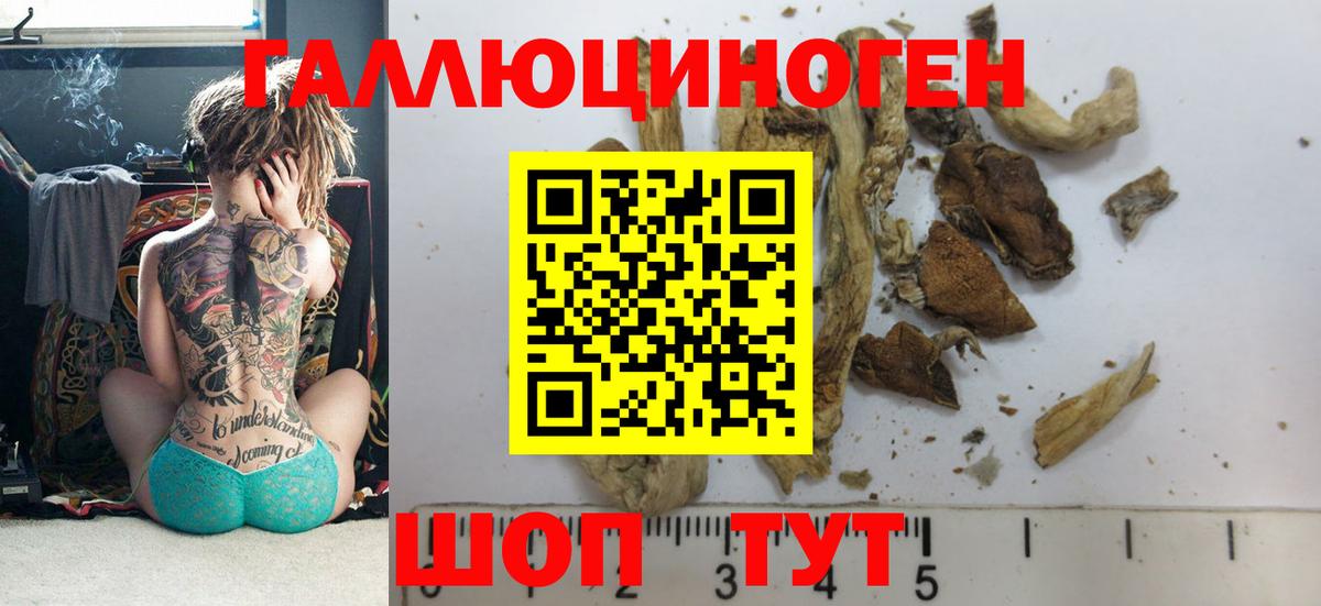 Галлюциногенные грибы MAGIC MUSHROOMS  купить наркотик  Нижний Новгород  Галлюциногенные грибы мухоморы  Вход с VPN 